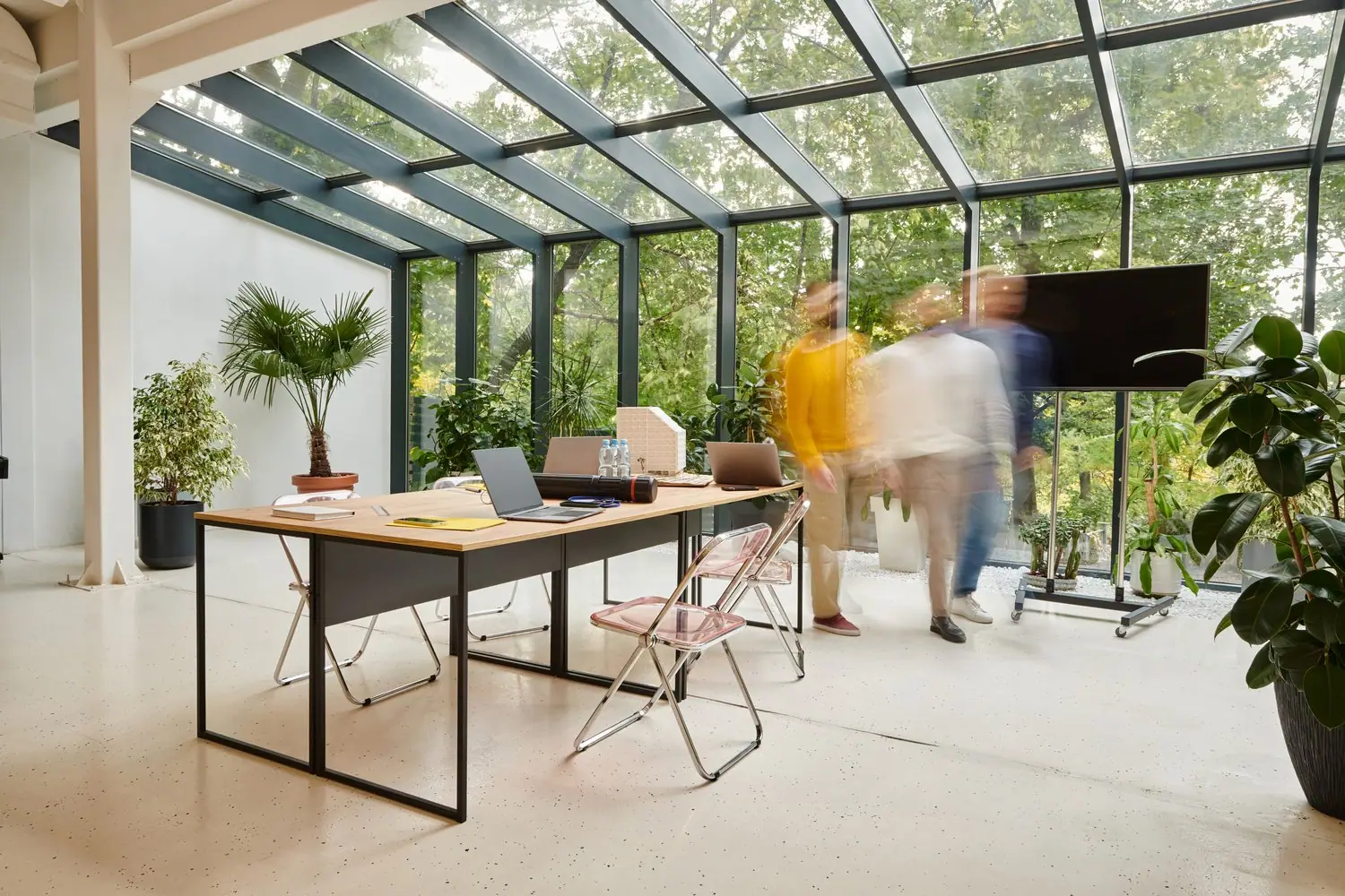 Biophilic design - natura w miejskim mieszkaniu